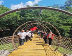 1626230137408726.png image.png